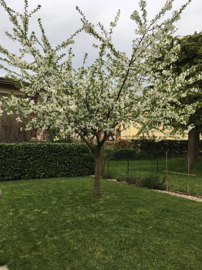 Appartamenti Francesco Peschiera del Garda Ngoại thất bức ảnh
